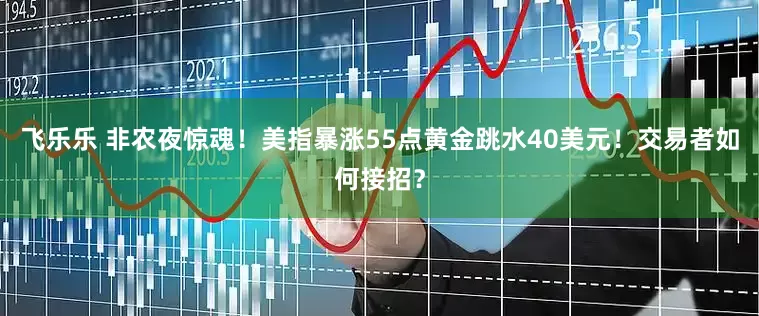 飞乐乐 非农夜惊魂！美指暴涨55点黄金跳水40美元！交易者如何接招？