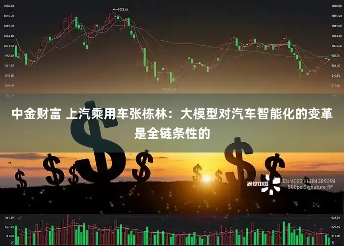 中金财富 上汽乘用车张栋林：大模型对汽车智能化的变革是全链条性的