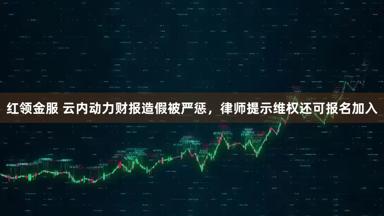 红领金服 云内动力财报造假被严惩，律师提示维权还可报名加入