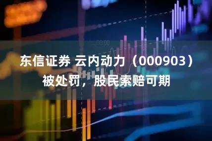 东信证券 云内动力（000903）被处罚，股民索赔可期