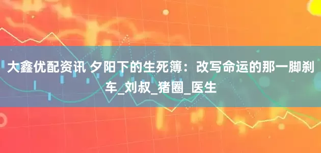大鑫优配资讯 夕阳下的生死簿：改写命运的那一脚刹车_刘叔_猪圈_医生