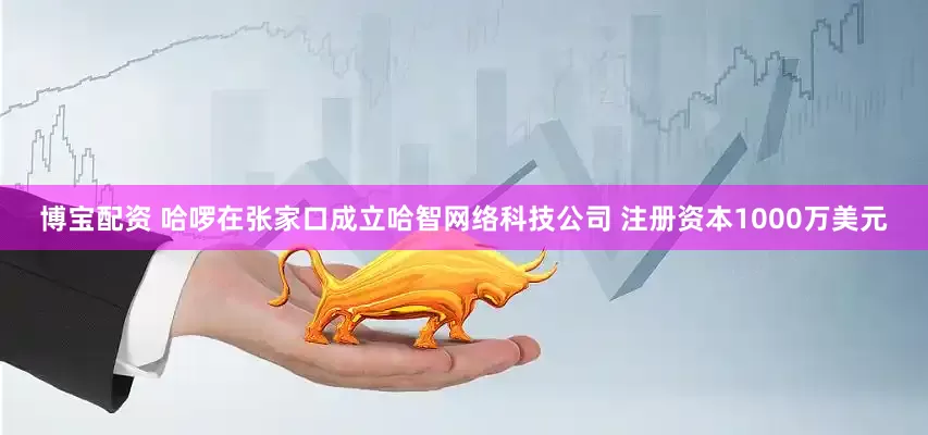 博宝配资 哈啰在张家口成立哈智网络科技公司 注册资本1000万美元