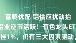 富腾优配 铝供应扰动抬头，中国铝业逆市活跃！有色龙头ETF随市下挫1%，仍有三大因素驱动，或迎回调布局良机